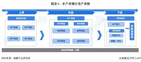 2024年水產養(yǎng)殖行業(yè)產業(yè)鏈全景梳理及區(qū)域熱力地圖 軟硬件與輔助設備深度解析